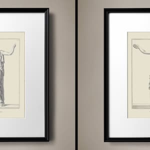 Vintage Architecture Art Prints for Grandmillennial Decor, Architecture Wall Art, Antique Architecture Drawing, Restoration Hardware Dupes image 5
