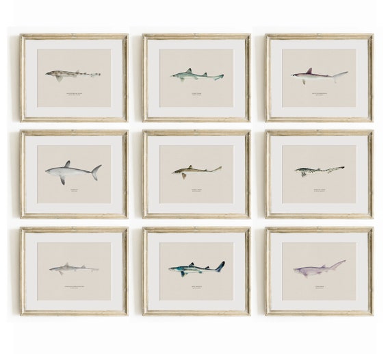 Shark Wall Art, Vintage Shark Prints, Shark Art Prints, Shark Wall Art for Boy's Nursery, Shark Nursery Art, Nautical Decor or Coastal Decor