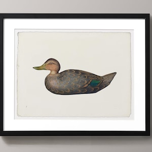 May include: A framed illustration of a brown and green duck with a white background.