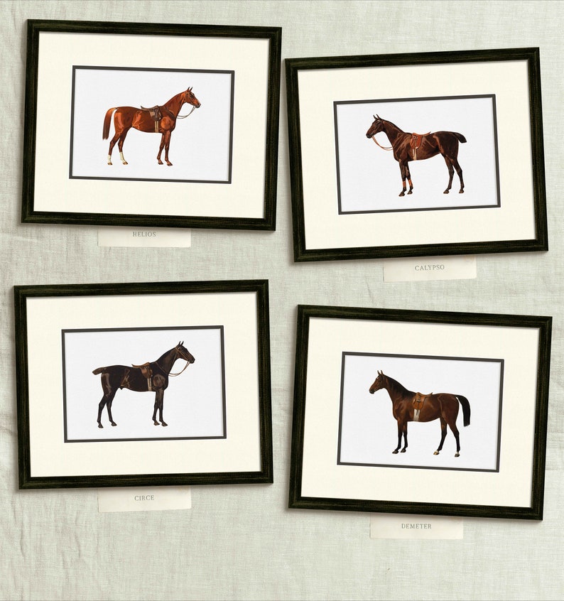 four framed pictures of horses on a wall