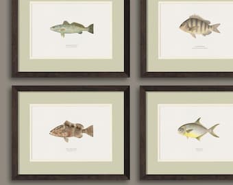 Unframed Vintage Saltwater Fish Prints, Perfect Gift for a Hunter, Fisherman, or Little Boy's Room or Nursery- Sets up to 9- Cottagecore