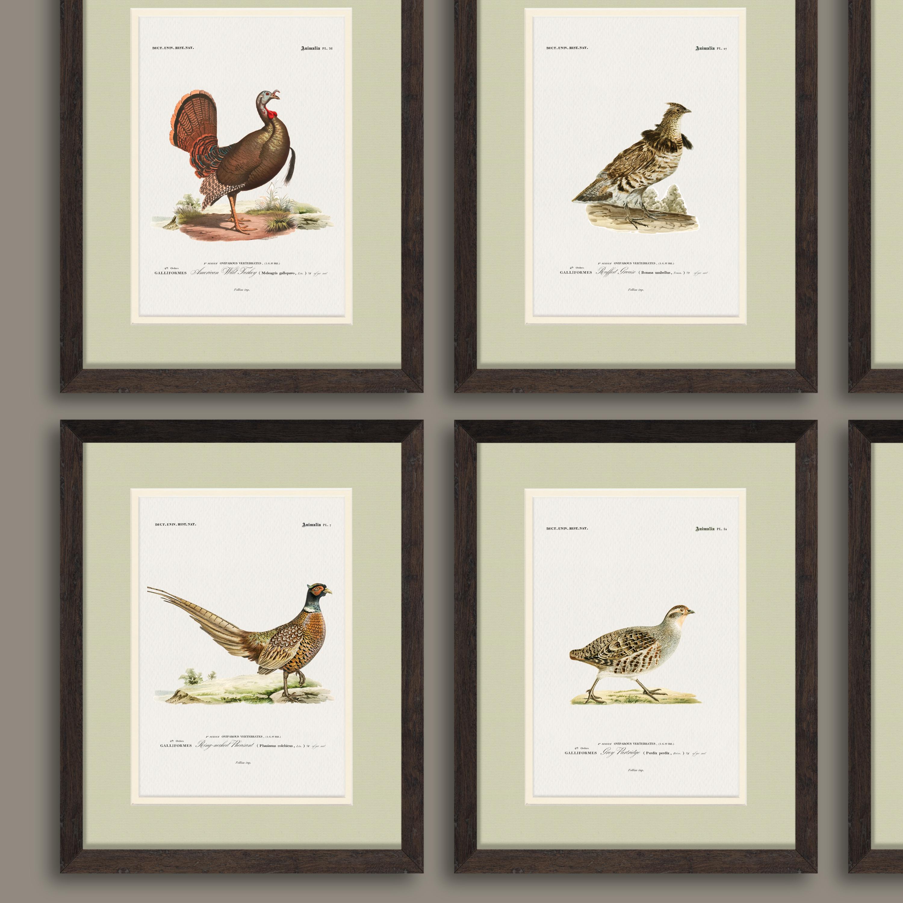 Vintage American Game Bird Illustrations in Rustic Real Wood Frames, Rustic Duck Art for Lake House or Cabin, Gift for Hunter or Boy's Room