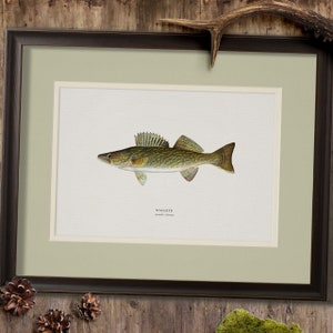 Hunt Club Freshwater Fish Wall Art, Vintage Fishing Art Prints, Gift for Fisherman, Gift for Hunter, Rustic Art for Lake House or Cabin