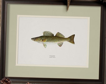 Art mural poisson d'eau douce Hunt Club, impressions d'art pêche vintage, cadeau pour pêcheur, cadeau pour chasseur, art rustique pour maison au bord du lac ou cabane