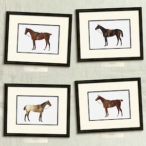 four framed pictures of horses on a wall