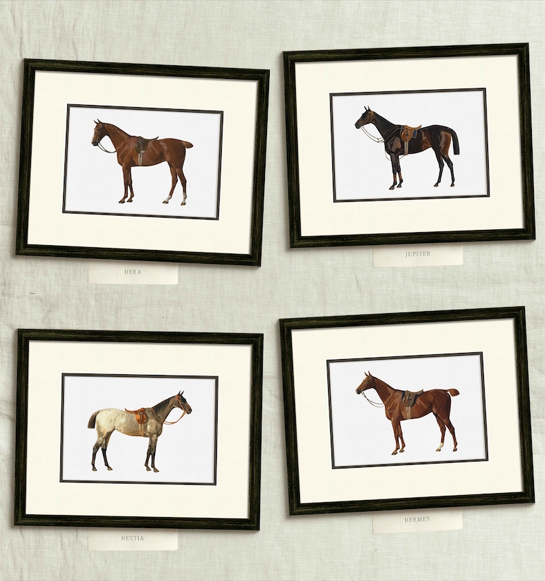 four framed pictures of horses on a wall