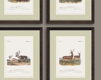 Vintage American Big Game Illustrations, Rustic Animal Art for Lake House or Cabin, Gift for Hunter or Boy&#39;s Room