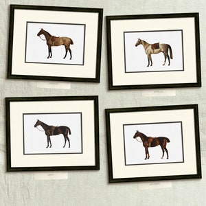 four framed pictures of horses on a wall