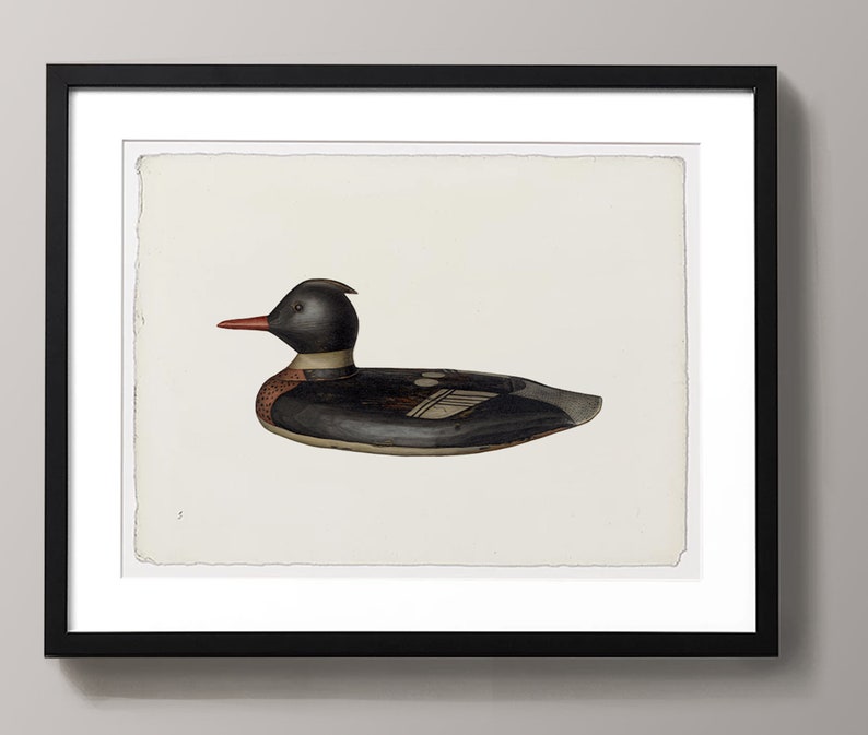 May include: A framed illustration of a black and white duck with a red beak and a white stripe on its head. The duck is depicted in a side profile, with its head turned slightly to the right. The illustration is set against a white background.