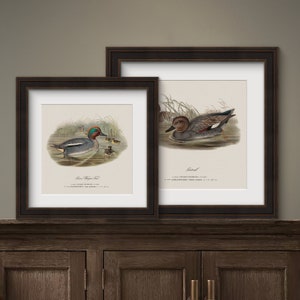 Choose from Six Vintage Duck Prints for Your Man Cave, or Office, Duck Camp  Rustic Duck Wall Art for Lake House