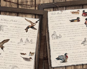 Vintage Feldführer Ente Art Prints - Wildvogel Kunst für Büro Mann Höhle See Haus oder Hütte - Rustikale Jagd Dekor - Truthahn, Hirsch, Stockente