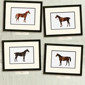 four framed pictures of horses on a wall