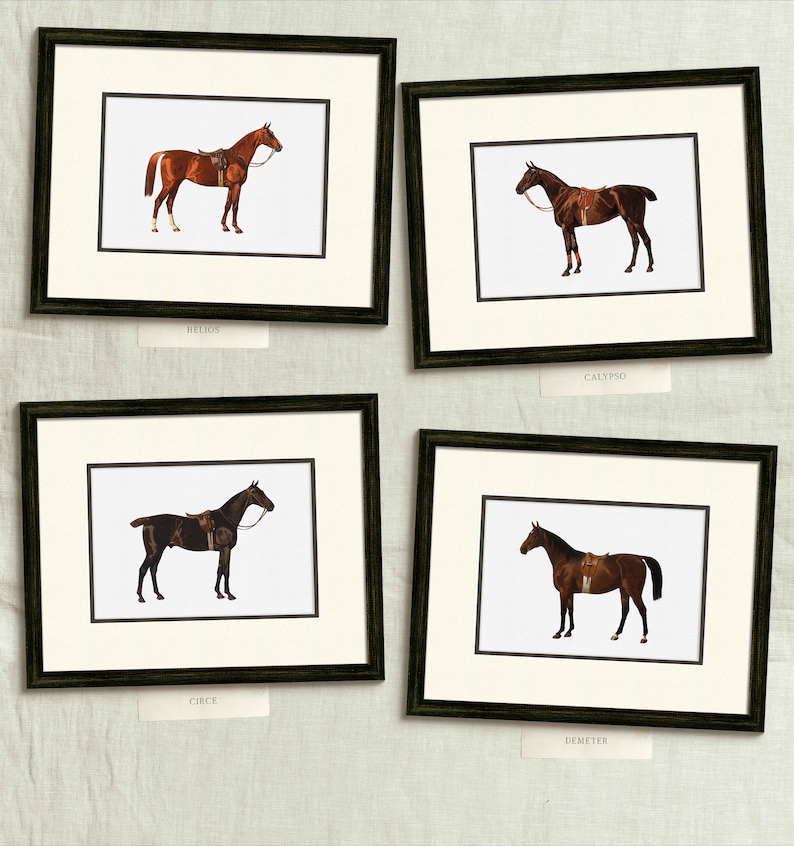 four framed pictures of horses on a wall
