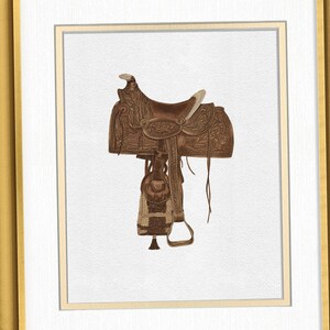 three framed pictures of different types of horse saddles
