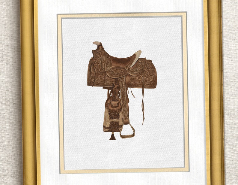 three framed pictures of different types of horse saddles