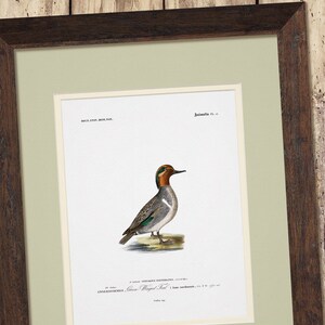 a painting of a bird sitting on top of a table