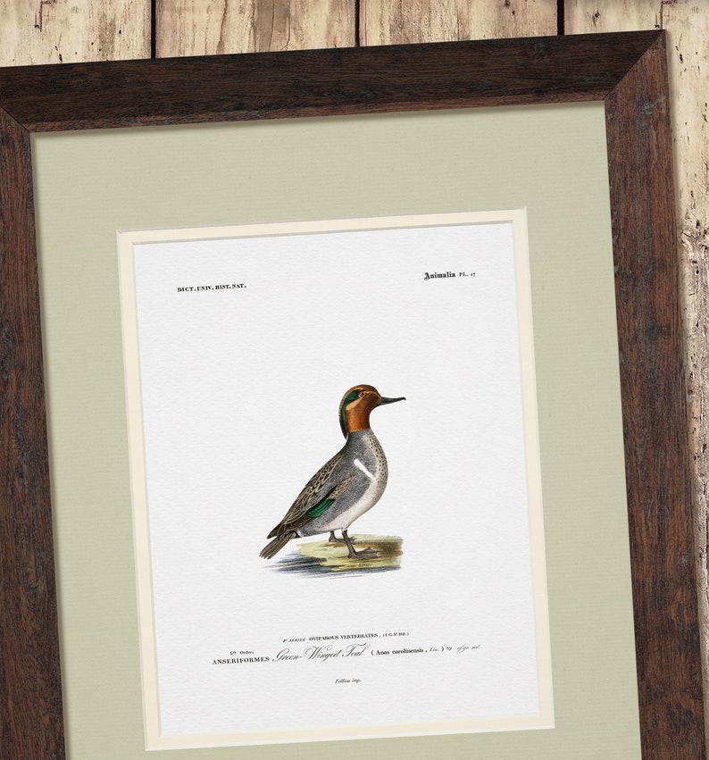 a painting of a bird sitting on top of a table