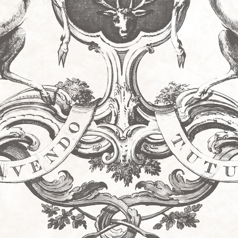 Custom Coat of Arms Family Crest Printable Artwork | Etsy