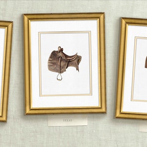 three framed pictures of horse tacks and saddles