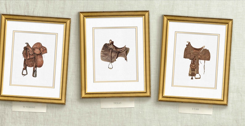 three framed pictures of horse tacks and saddles