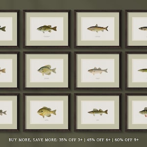 Framed Unique Antique Animal Art Prints and Freshwater Fish Paintings - Perfect for a Vintage Rustic Look