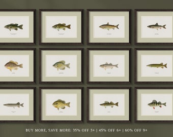 Framed Unique Antique Animal Art Prints and Freshwater Fish Paintings - Perfect for a Vintage Rustic Look