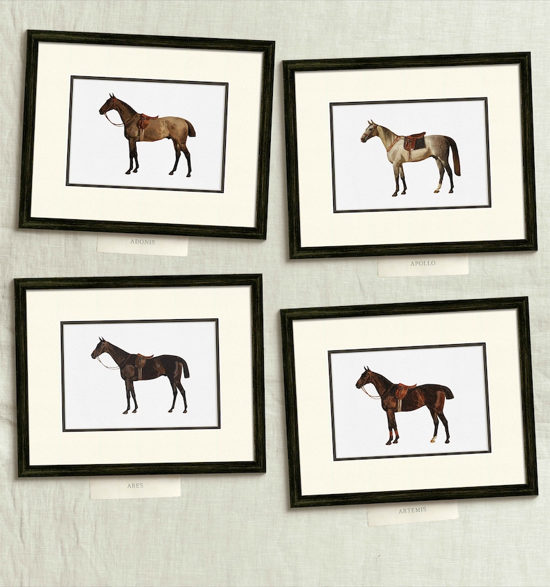 four framed pictures of horses on a wall