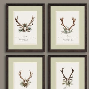 Hirsch Kunstdruck Geschenk für Ihn mit Hirschgeweih, Hirsch Druck für Cabin Decor, Büro oder Man Cave, Rustikales Dekor Deer Jagd Kunst