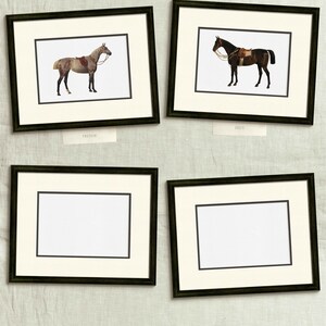 four framed pictures of horses on a wall