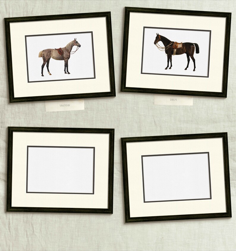 four framed pictures of horses on a wall
