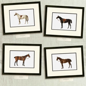 four framed pictures of horses on a wall