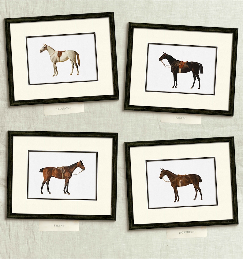 four framed pictures of horses on a wall