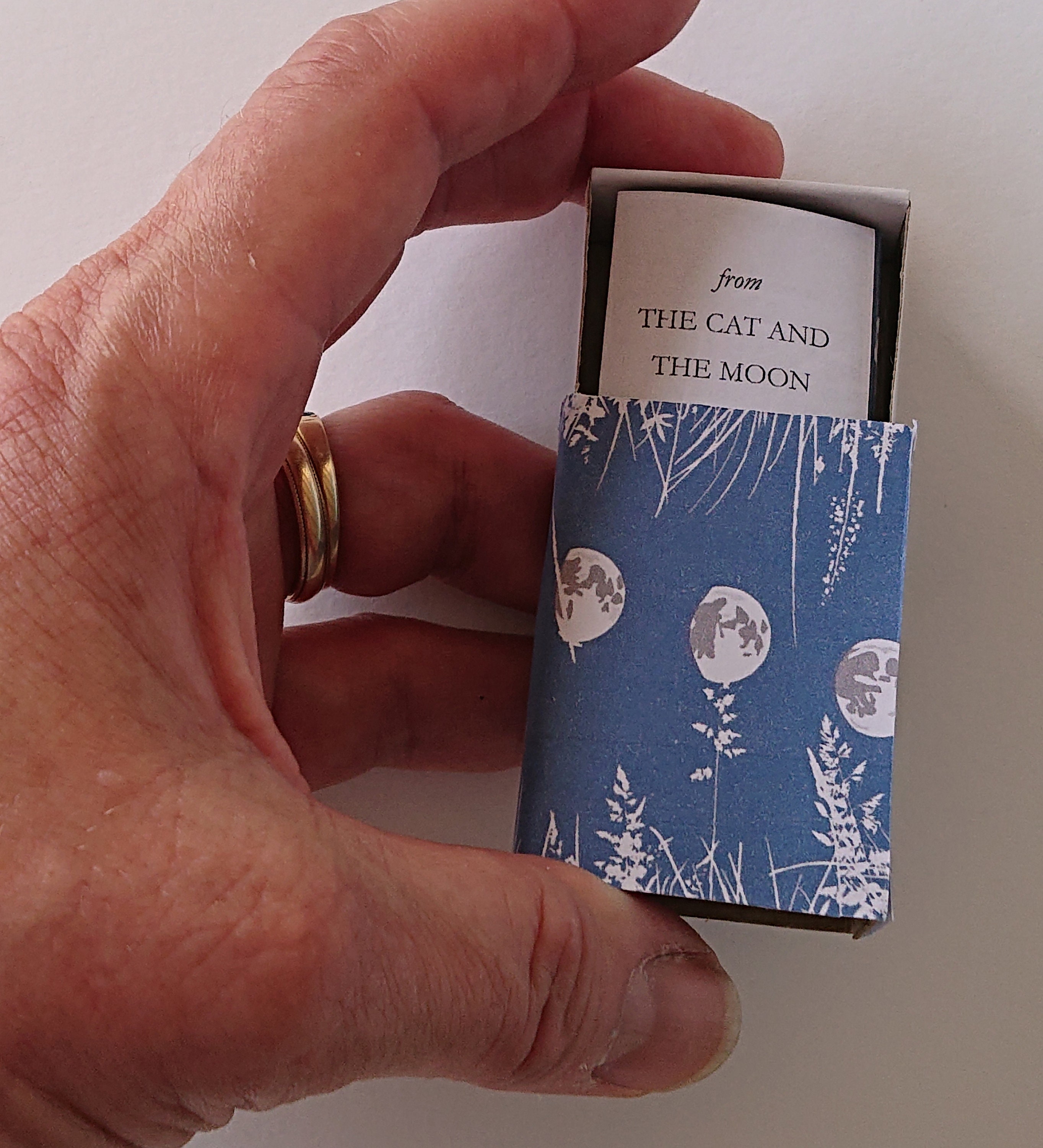 Cat Poem Book in a Matchbox, 'the Cat and the Moon' by WB Yeats. Ideal
