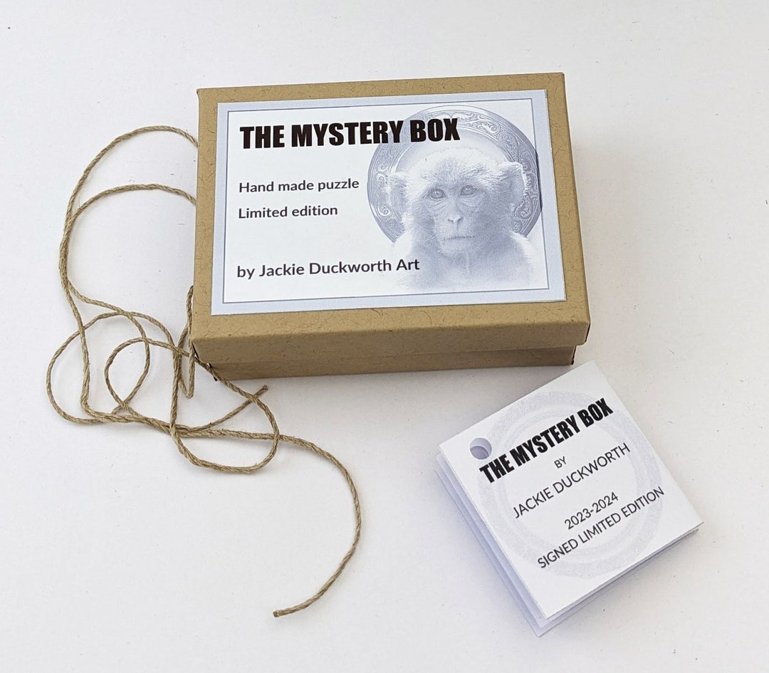 Mystery Box Puzzle for Adults, Hours of Fun. 20232024 Edition Etsy