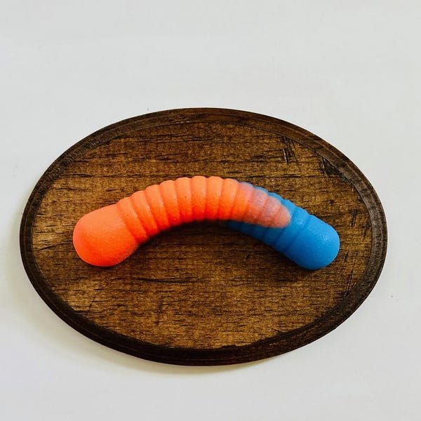 トロフィーワームの壁掛け/ドーパミンデコレーション/フェイクフード/キャンディアート/グミワーム/マキシマリストデコレーション/フードデコレーション/フードアート/ユニークアート/奇妙なアート