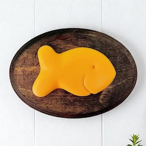 Trophy Fish Wall Hanging Dopamine Decor Fake Food Gift Idea For Friend Nostalgic Maximalist Gallery Wall Decor Eclectic Food Art Cracker