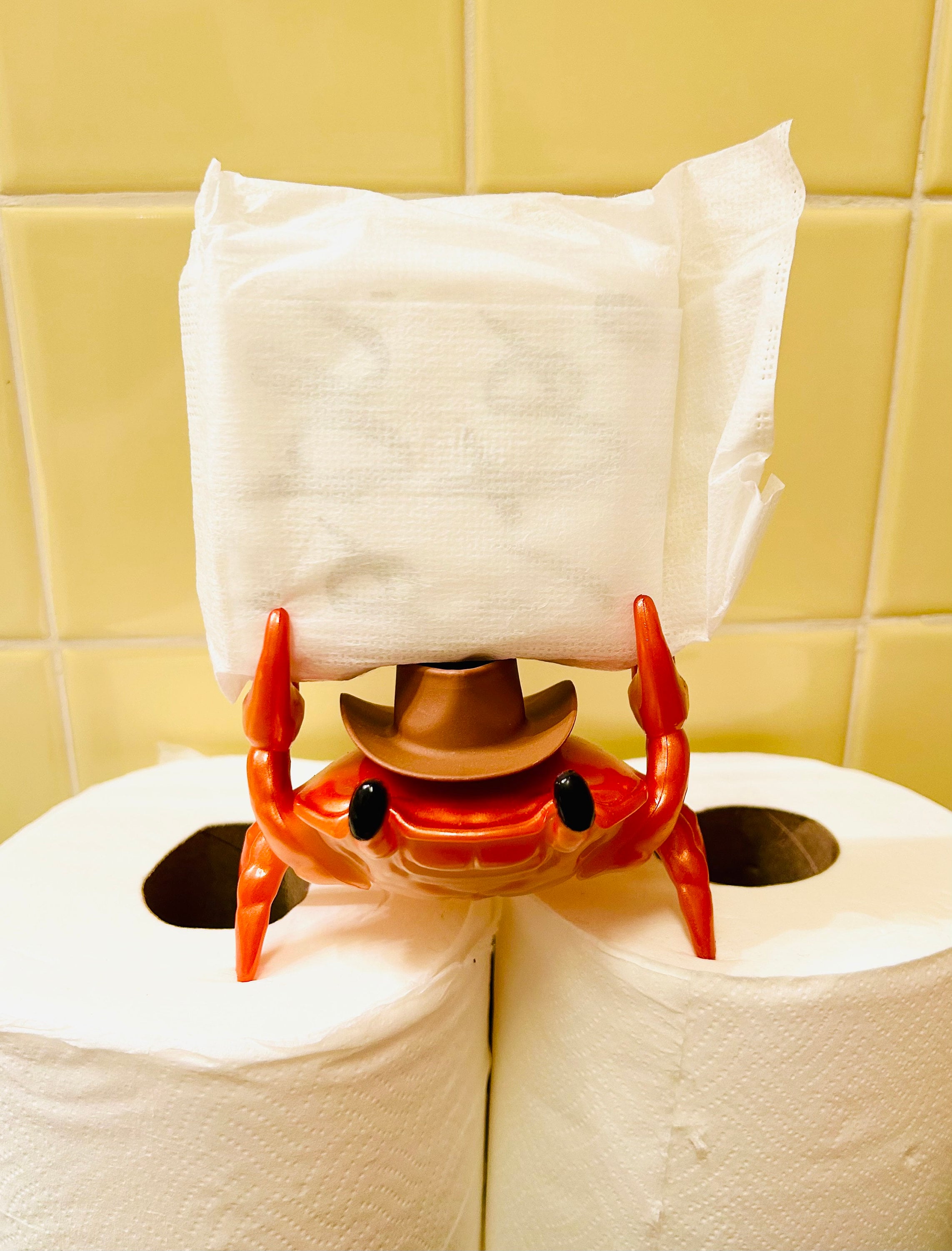 What in Tarnation Menstruation Crustaceanfunny Funky Quirky Kitschy