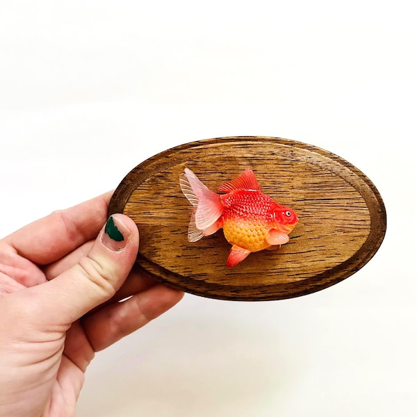 トロフィーフィッシュの壁掛け/ドーパミンデコレーション/マキシマリストデコレーション/面白いギフトアイデア/キッチュアート/フェイク剥製/金魚/魚好き/面白いデコレーション