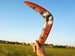 Boomerang 'Wolf'. Handcrafted, hand painted & flight-tested returning wooden boomerang. Personalized wood gift for him outdoor games 