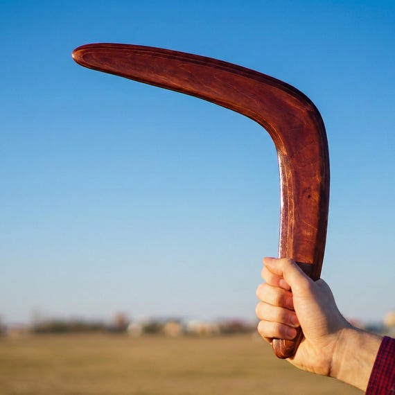 Returning Boomerang