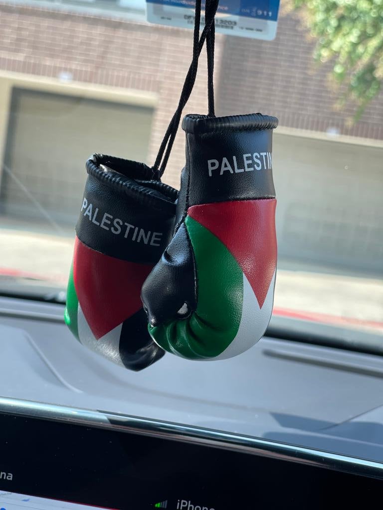 Boxing gloves hotsell car hanging