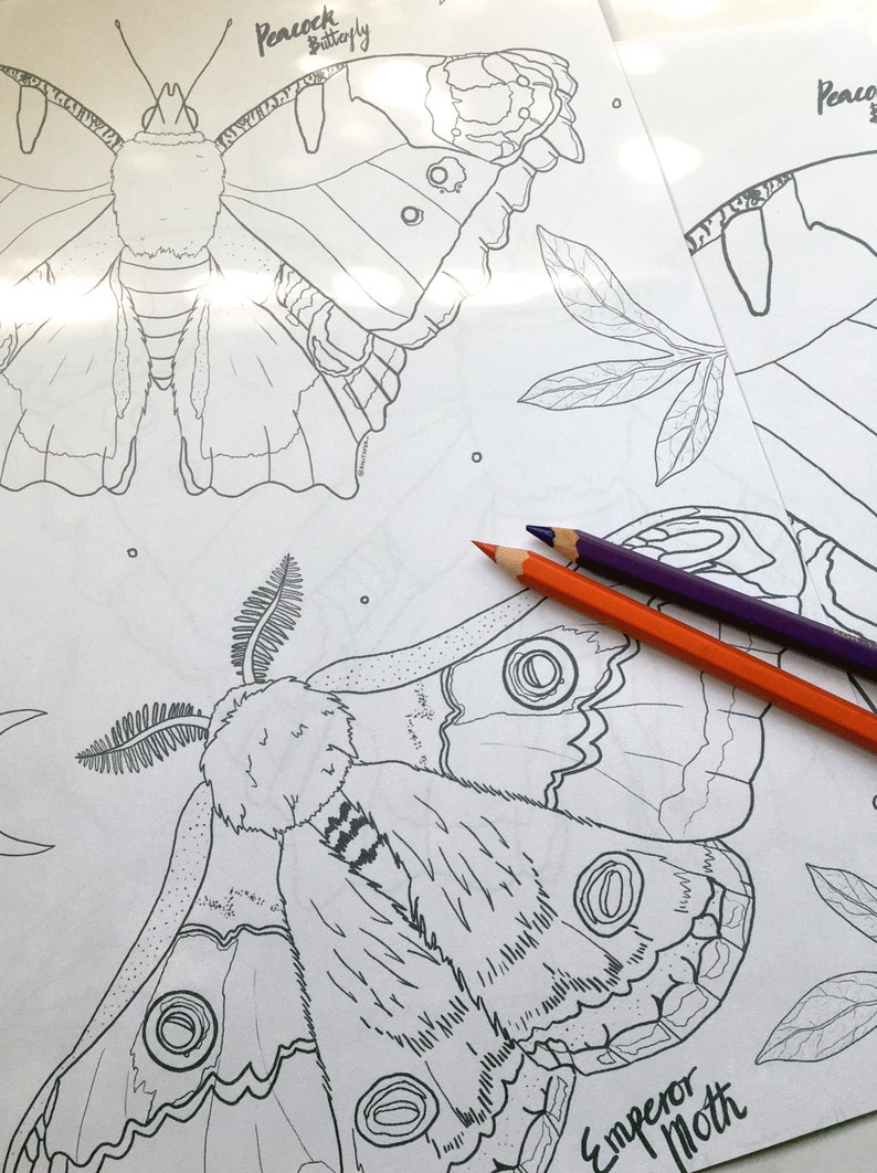 Butterfly And Moth Colouring Pages DIGITAL DOWNLOAD Nature Etsy de