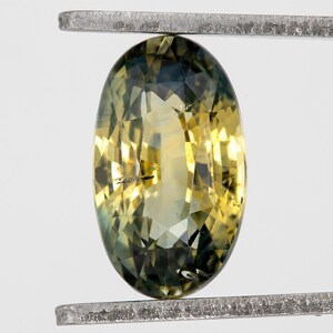 1.92ct Sri Lankan Heated Parti Sapphire Oval Bi Colour Gemstone | Yellow Green Sapphire for Engagement Ring | Loose Natural Sapphire