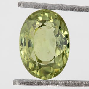 1.74Ct Natural Green Sapphire Oval Cut | Unheated Yellow-Green Sapphire | Rare Collector Gem | Custom Jewelry Sapphire | PS-14