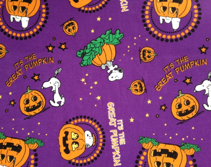 Travel Pillow Case / Child Pillow Case / Great Pumpkin Charlie Etsy