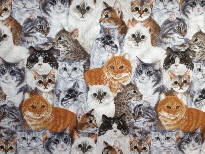 Travel Pillow Case Standard Pillow Case Love all the Cats