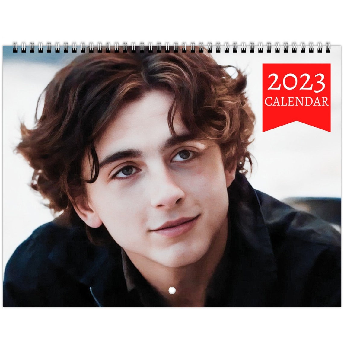 Timothée Chalamet 2023 Wall Calendar 63 Photos Photobook Etsy
