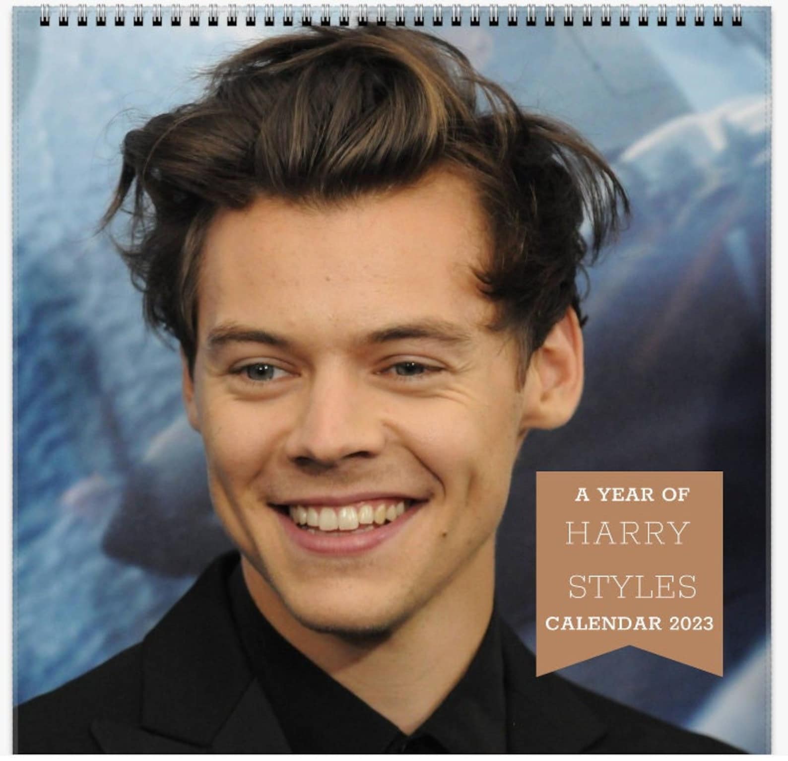Harry Styles Wall Calendar 2025 HS Merch Photobook Book Etsy