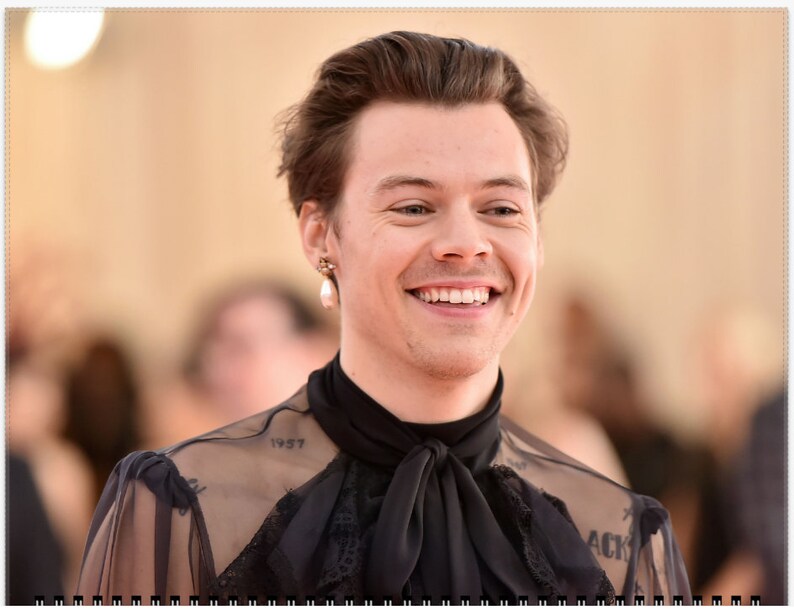 Harry Styles Wall Calendar 2023 HS Merch Photobook 43 Photos Etsy
