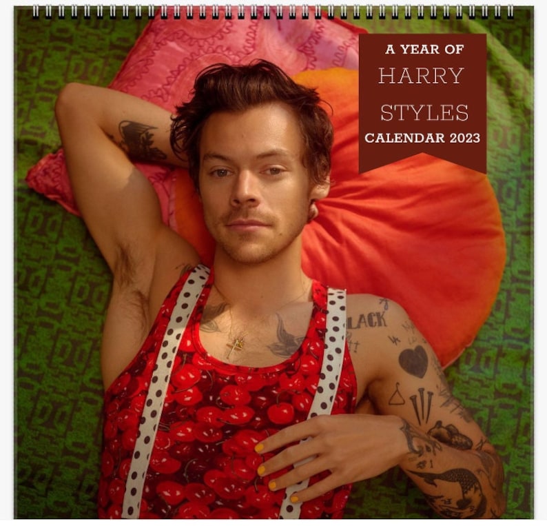 Harry Styles Wall Calendar 2023 HS Merch Photobook Book Etsy Norway